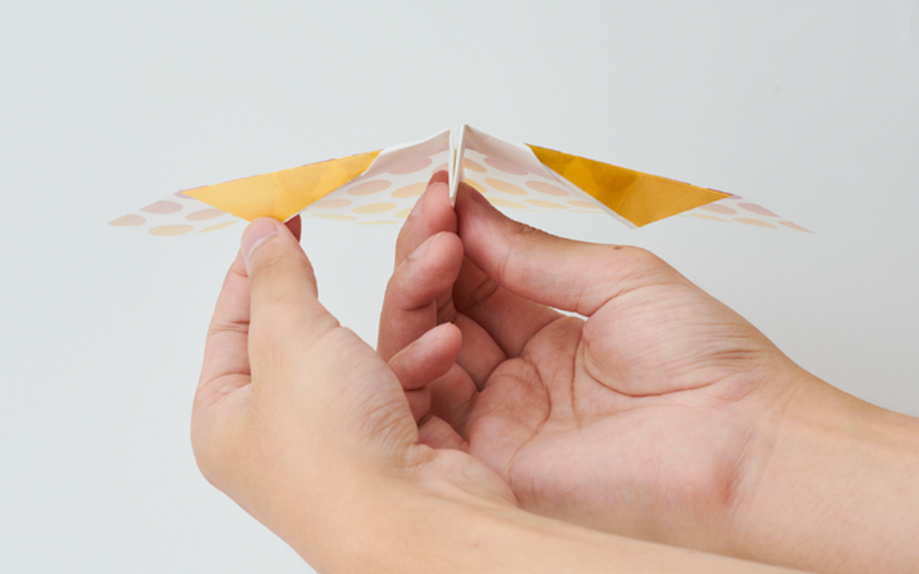 Papillon Origami Airplanes