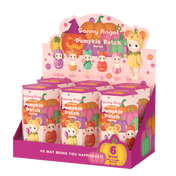 Pumpkin Patch Series (Box of 6)