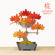 Bonsai Puzzle - Japanese Maple